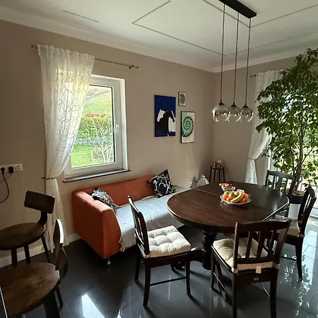 Modern Eco-friendly House With Terrace, Garden And Carport * Dalberg