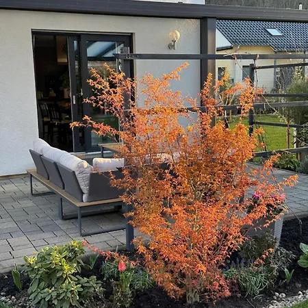 Modern Eco-friendly House With Terrace, Garden And Carport Dalberg